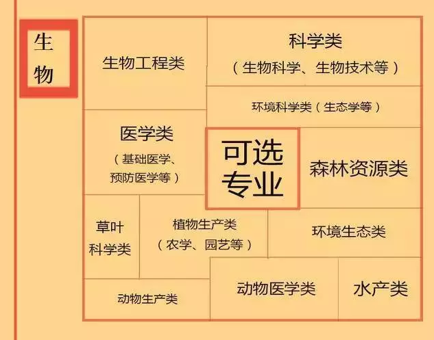 根據(jù)特長選專業(yè)，高中各門課程對應(yīng)大學(xué)專業(yè)實用盤點，志愿填報的你不可錯過！