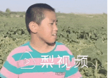 這位11歲男孩的暑假生活，被網(wǎng)友狂贊