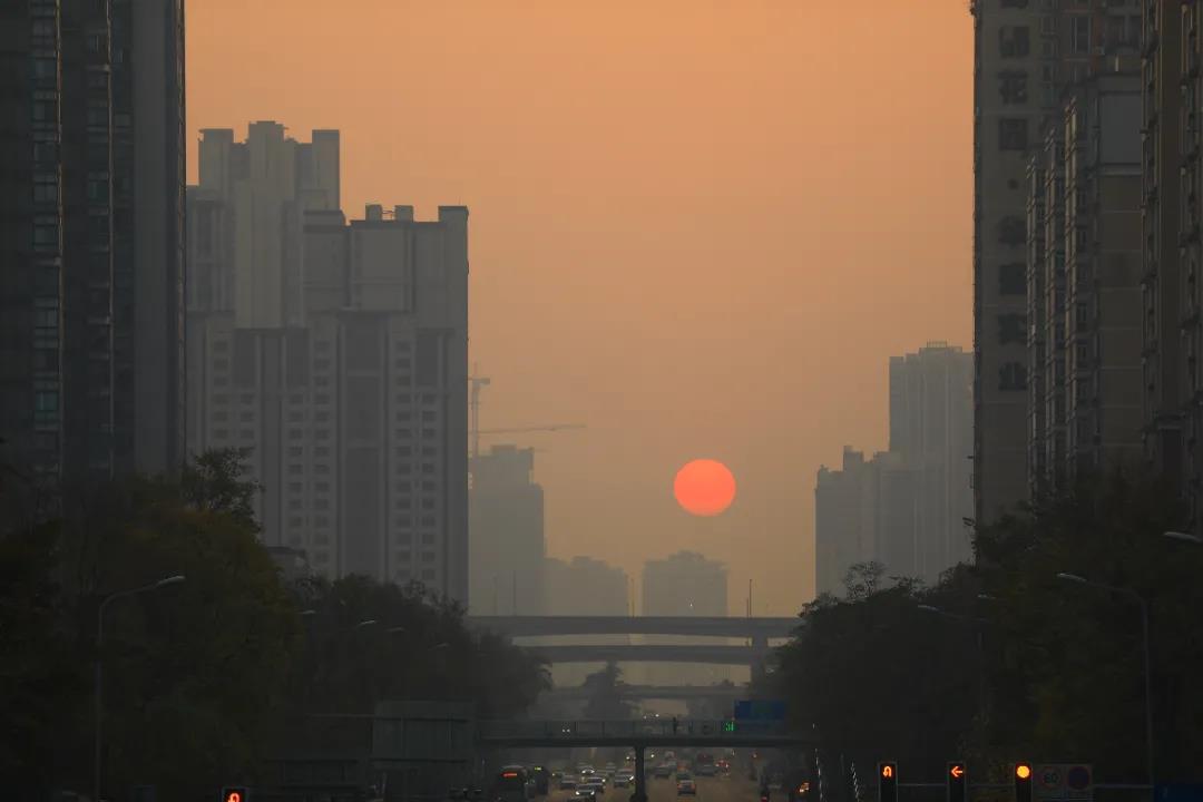 重磅！今后我省這些專業(yè)擬在一本招生