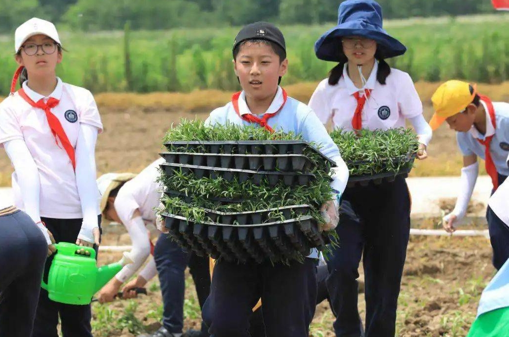 最新通知，事關全省中小學生！